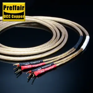 S5e314134845c49c2a61f298987c95541U