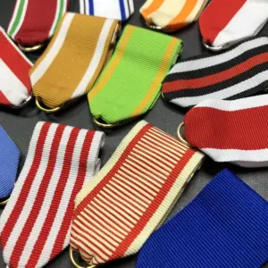 Vibrant Assorted Medal Ribbons Set 12 S5e6a1f8ec3a542dd8d6cf738e6302880X