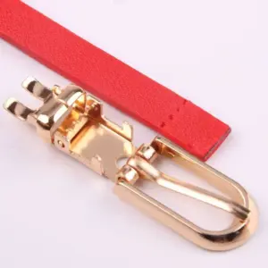 Women's Faux Leather Slim Belt Collection 11 S5f1204159281463f875fd1d18f4cb3ce0