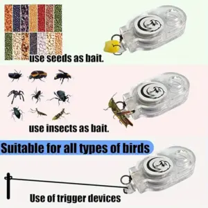 S5f6805fc20a94ec5bf4eb77d1bb018043