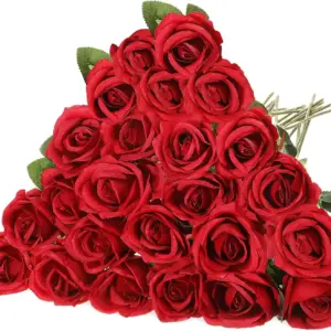 S5f8aa5af8cf54ffbbc2e47372d360670S