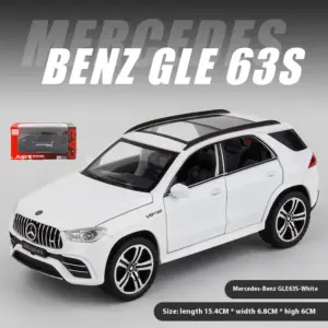 S6079cc6fee7844828924f6e40e2c21de2