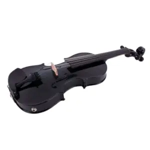 Elegant Black Electric Acoustic Viola 15-16 Inch 7 S60daf54d90b348ccaa0375bb2ab51f7fu
