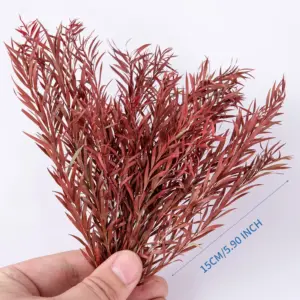 S6196afc7b5974fafb19845fdbf53e41bg