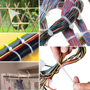 S621eeb0914a9499cafdb2ca5d1e894fdM