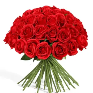 S63ce4814641f4f6c8f5cb39d4ede262dd