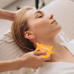 S65e53d63cff24e819c9e1f9743cc6524P