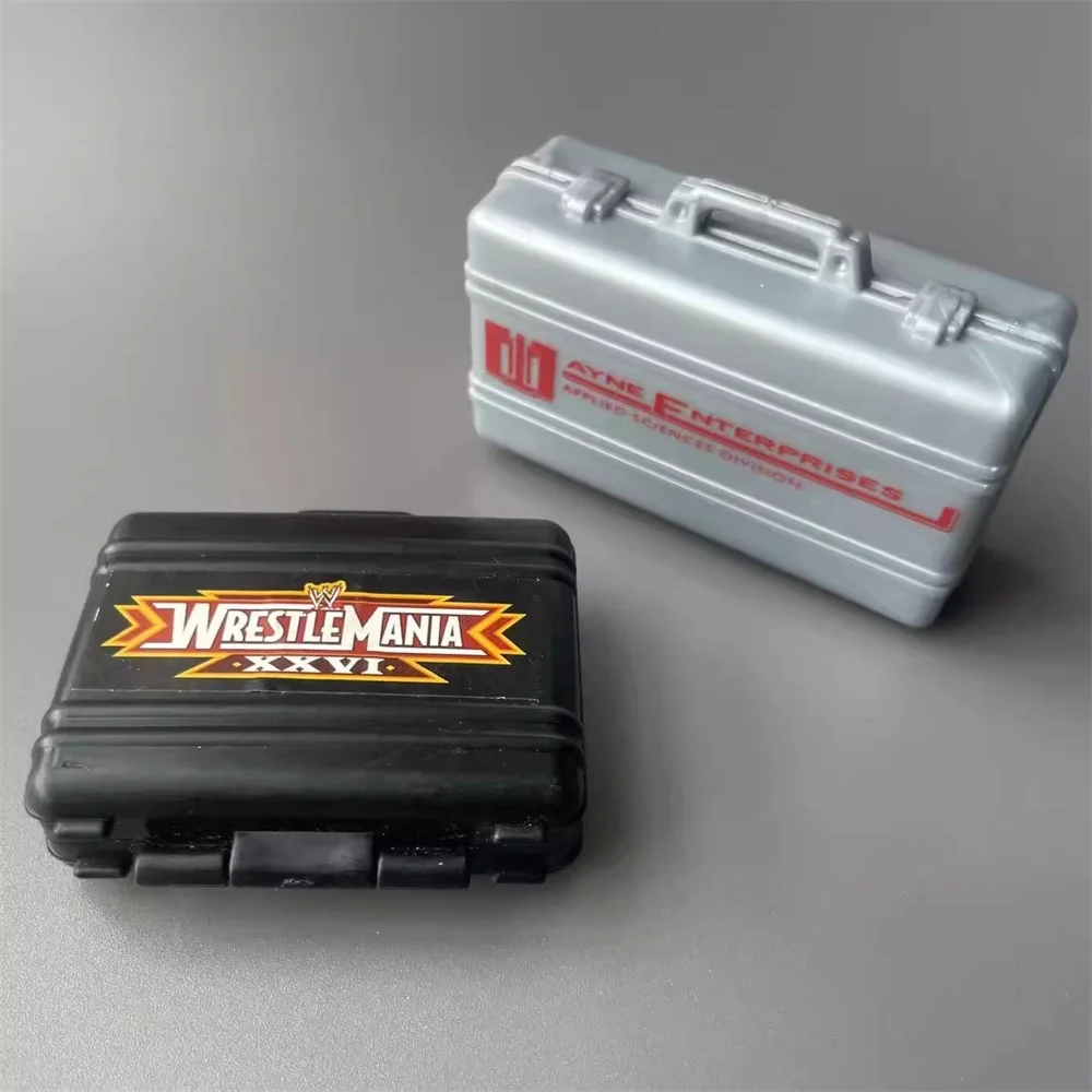 1/6 Scale Action Figure Model Case in PVC 2 1/6 Scale Action Figure Model Case in PVC - Image 2