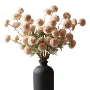 S6a3a64d010ad41f5b5a40f57c9822256n