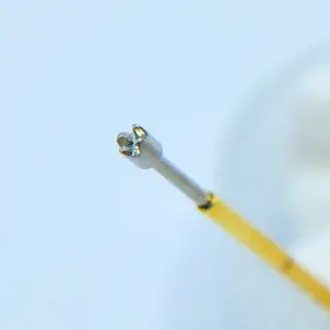 S6ae7031c842c41888036c3ece900cb16C