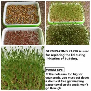 S6d9db11ce15b421e8df36c8808ea4025b