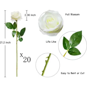 S6da2d3cebf484c24a9ab0eb8feb448158