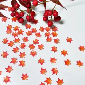 Vivid Resin Maple Leaves for Crafts 10 S6da9f3a6feab4813b6f6900d8d1cffd8q
