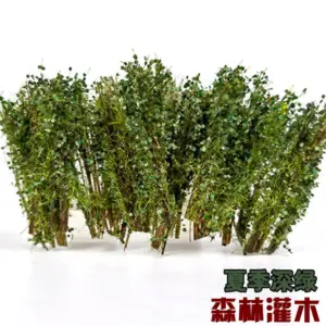 Miniature Model Bush Set for Dioramas 12 S6eadad5de7164f579c470d64f9139d4ba