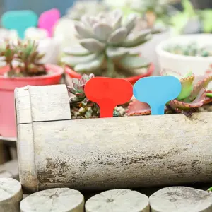 S6fdceb4233d14a199892021a432a2663Y