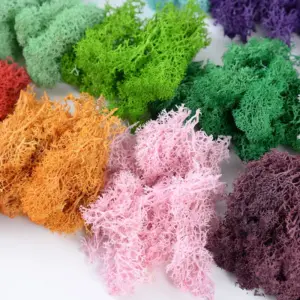 S701d453424cc4009bf2e13a1d38e7682Y