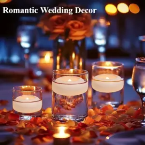 S721ea1995e8943d7a0d8d8224485bf83l