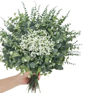 S739331be4c31472ea425629cd2bdb094C