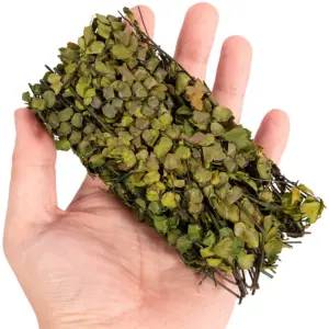 S753f9b7784ee491aa0c3e18cf6eac231i