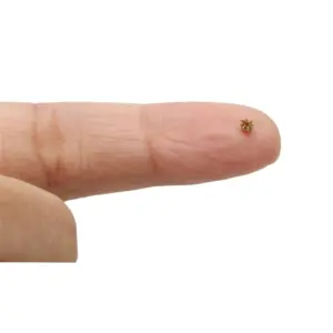 S7771ecbb180d4226aa67ce8f744969c36