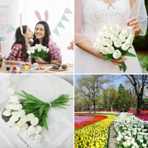 S7946ca83cb0a44da90ad8032fd04968cc