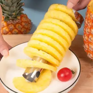 Stainless Steel Pineapple Slicer for Quick Prep 10 S795d2734e2664cb998c4e66dac3f4b5fK