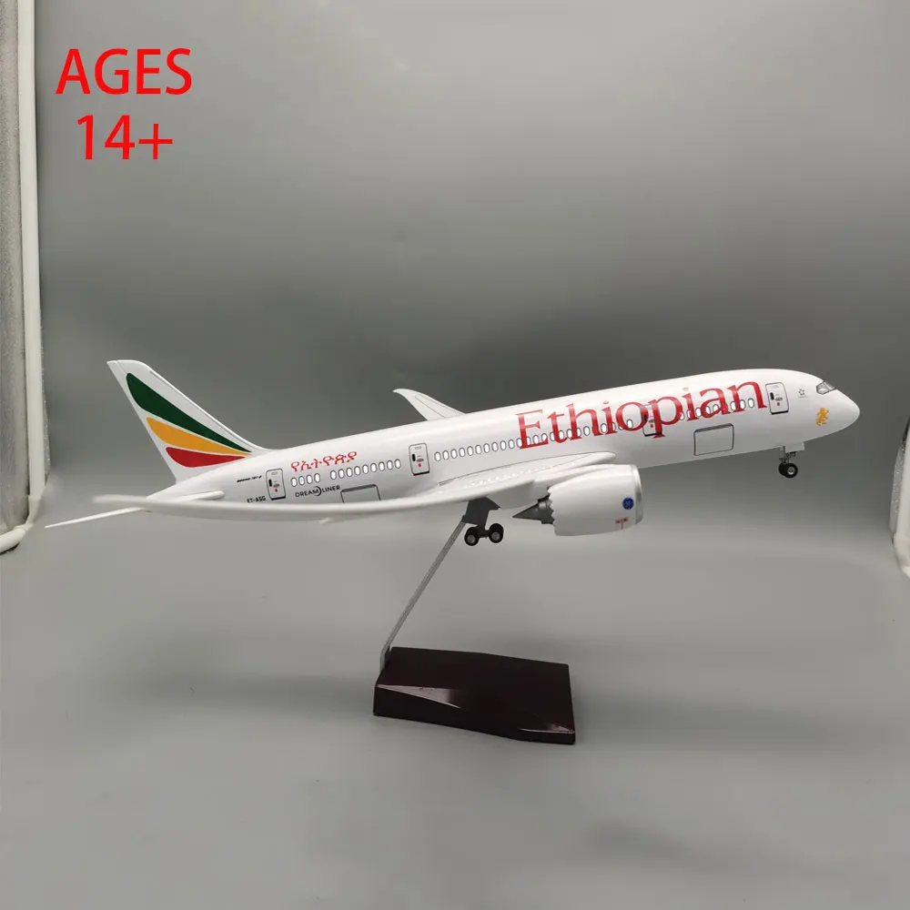 1/130 Scale Boeing 787 Resin Model with LED 4 1/130 Scale Boeing 787 Resin Model with LED - Image 4