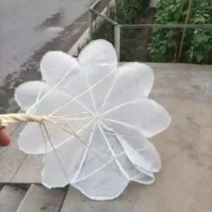 S79d1db2f86d1496a83671960ed6bae1cm