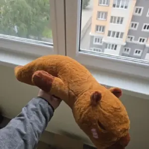 S7adf7e0537624ef99319b82c7bc9a7a5C