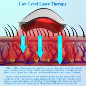 S7bb3682a2ce24e3fbbfd337b2278d18cY