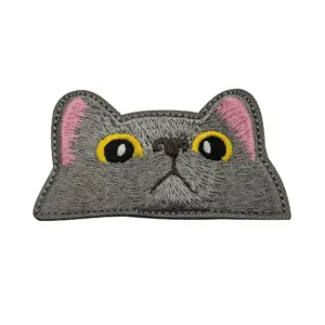 S7becae8b5d8640f2a883a8640c5b31f6h