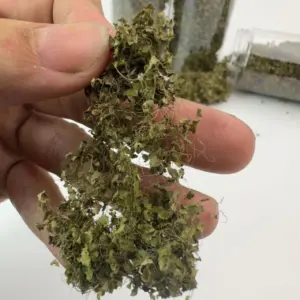 Miniature Resin Vine and Flower Model for Dioramas 13 S7cde2ee793da4613bbe4966495aabbf6Y