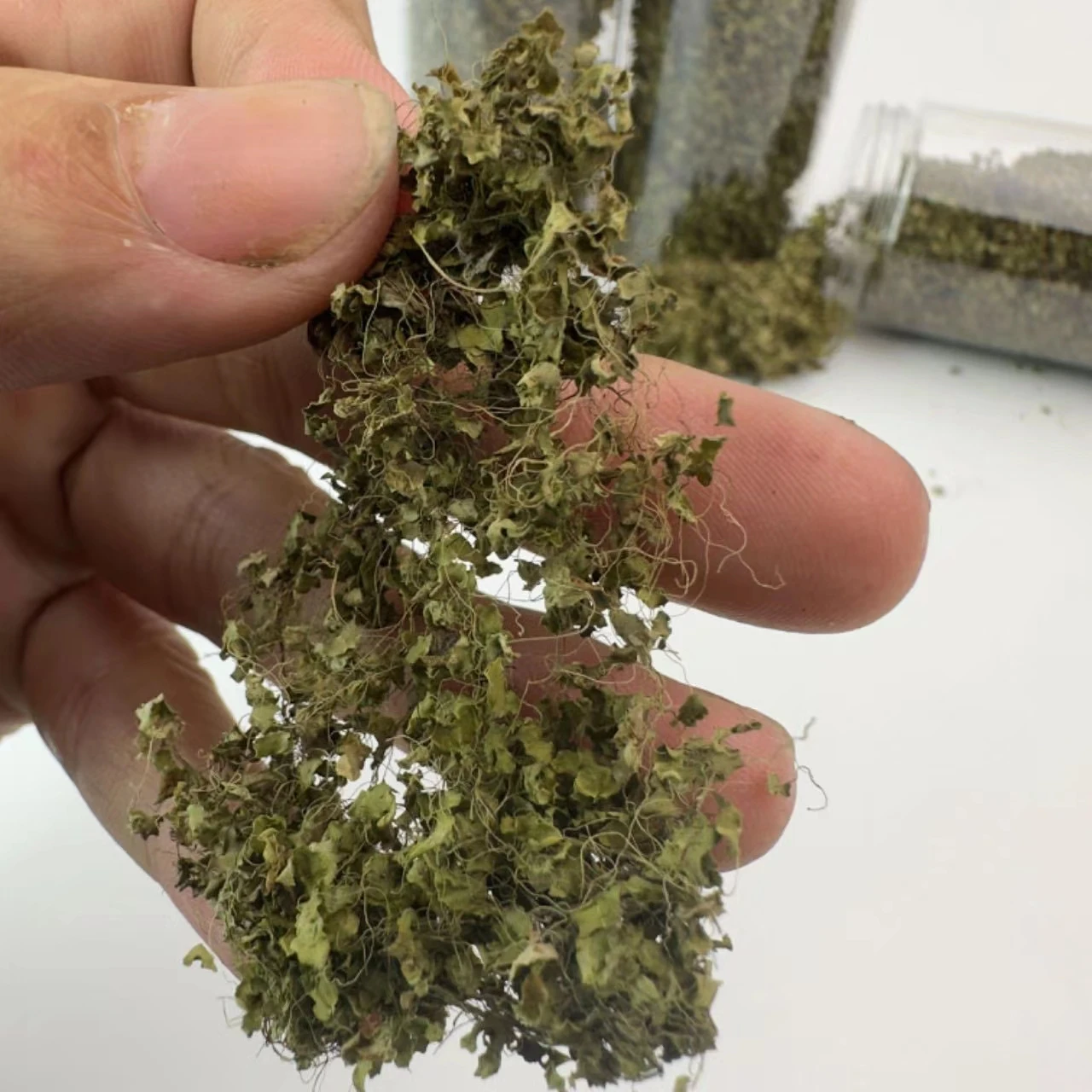 Miniature Resin Vine and Flower Model for Dioramas 6 Miniature Resin Vine and Flower Model for Dioramas - Image 6