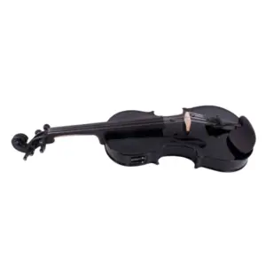 Elegant Black Electric Acoustic Viola 15-16 Inch 8 S7d23d7fe02cb4dd69324aad21a4fff0ck