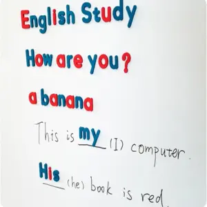 Magnetic Alphabet Set for Kids 234 Pieces 9 S8255eee169b2487bb80f92e5204082ae2