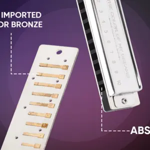 Elegant 12-Key Diatonic Blues Harmonica 8 S82a04bc9f3464f4fbfab71ad08195702I