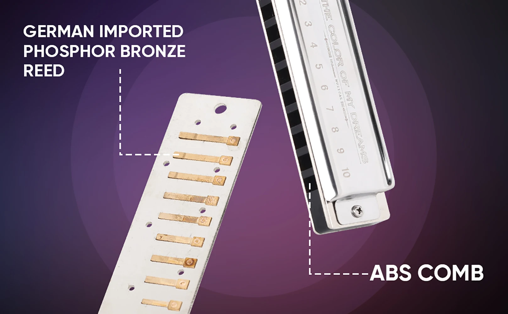 Elegant 12-Key Diatonic Blues Harmonica 3 Elegant 12-Key Diatonic Blues Harmonica - Image 3