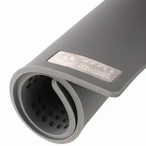 S855e333aefa34245899c2e23f48282fbU