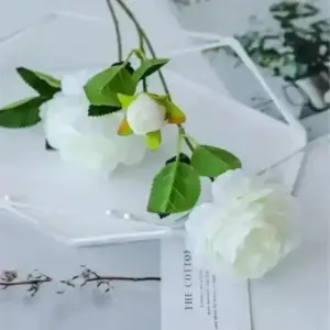 S860226c7320740b8a820723d89639d22Q