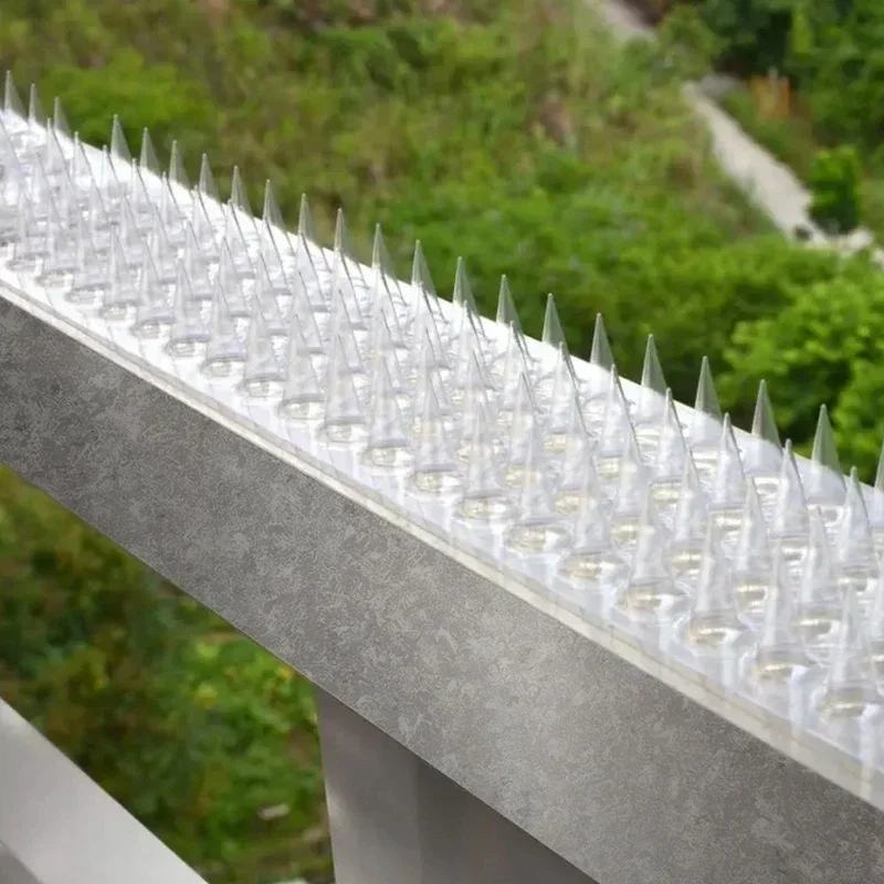 Transparent Plastic Bird and Animal Spike Set 6 Transparent Plastic Bird and Animal Spike Set - Image 6