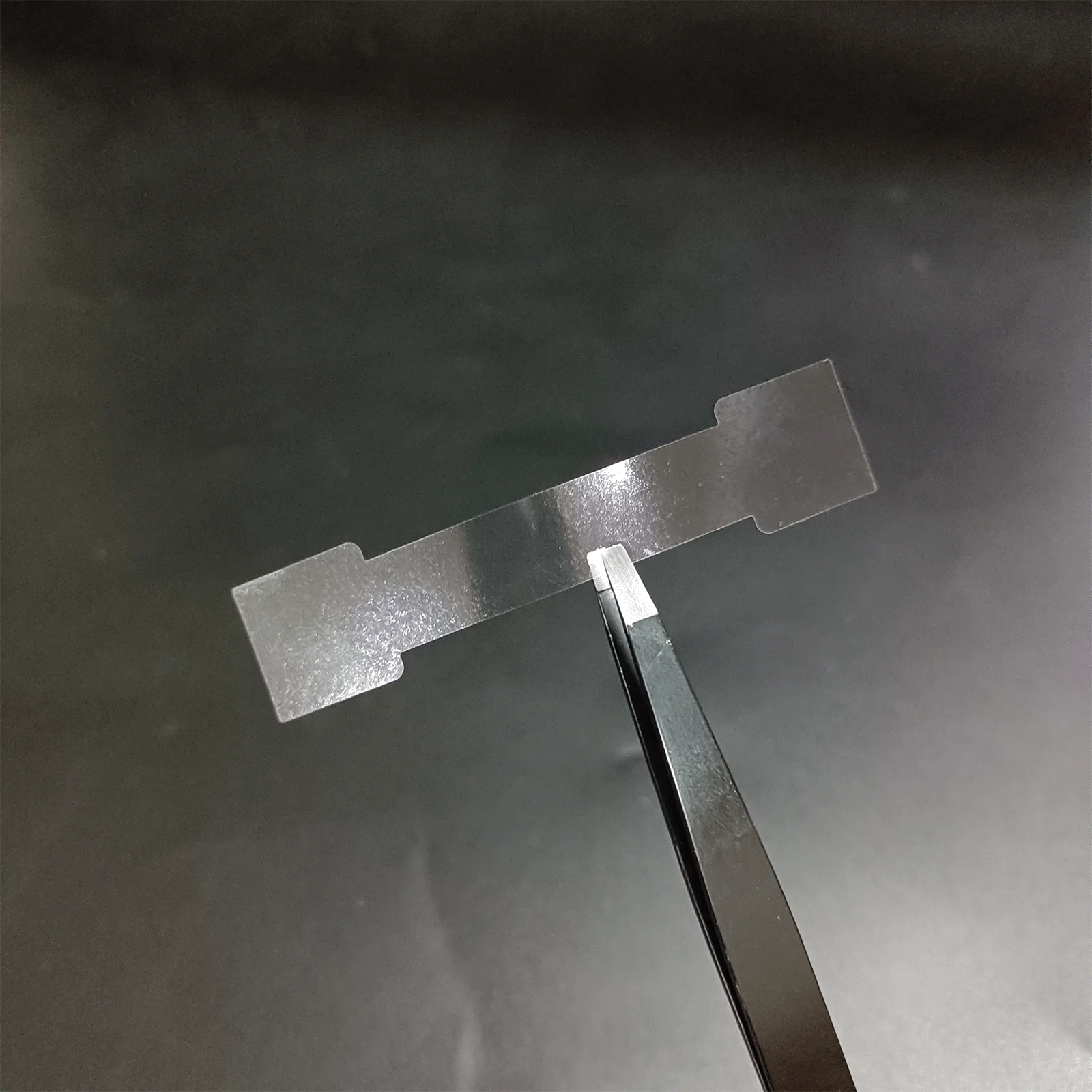 Bone-Shaped Holographic Security Sticker 50mm x 10mm 8 Bone-Shaped Holographic Security Sticker 50mm x 10mm - Image 8