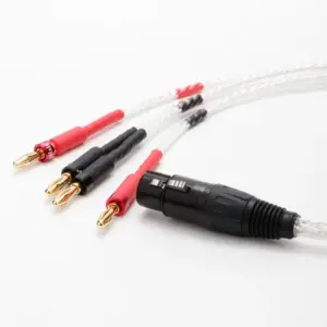Premium XLR Female to 4 Banana Cable for Audio Systems 10 S8809ea606ecb47138f5e27ba763db02fv