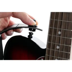 S8c7bbff1086f4e20b8d3169939ed3b31z