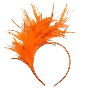 Colorful Feather Headbands for Adults 18 S8fbe5e56ed3441dfbd4c48a3fc6d3f2el