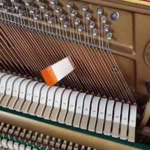 S90801054024b4566b9bc83c360f503efF