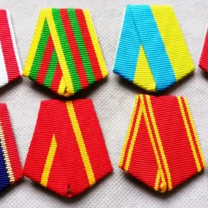 Vintage Hexagonal Badge with Vibrant Stripes 11 S91a5434157fd48c3b22c2054806aa976i