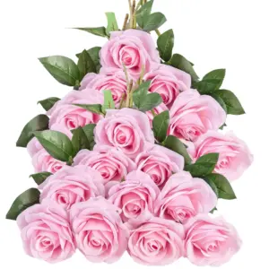 S920c07c9564848bbb26a0d953aeacf05J