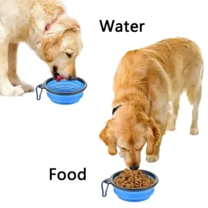 S92fc744e10ad4371aa4768f69bbf42cdg