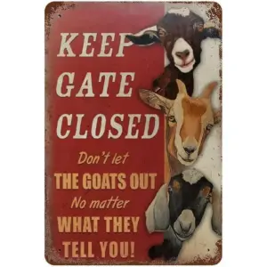 S96a0bc3567054bba899acf49efd10e15g