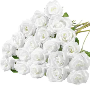 S985f220b049140af9d1acfdabe3d872bM